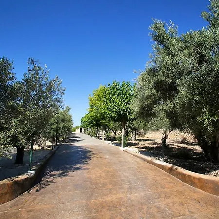 Apartment Senia Tomaset I Onil