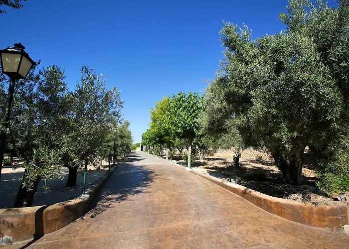 Apartment Senia Tomaset I Onil